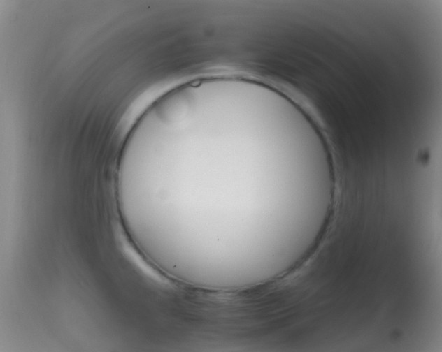 X0000114681239200910211024