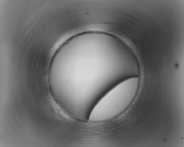 X0000114681240200910211024