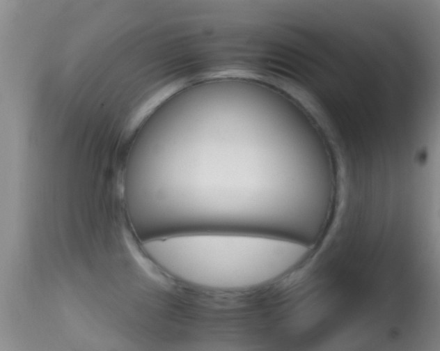 X0000114681241200910211024
