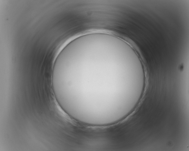 X0000114681244200910211024