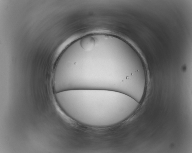 X0000114681245200910211025