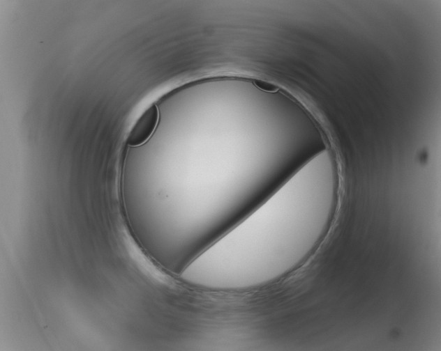 X0000114681246200910211025