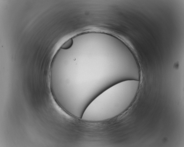 X0000114681247200910211025