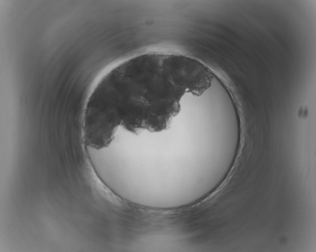 X0000114681248200910211025