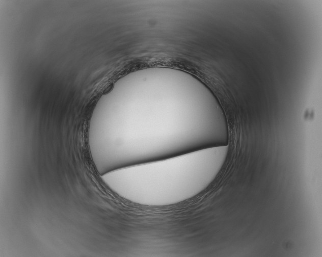 X0000114681250200910211024