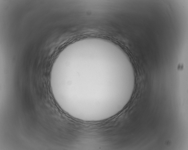 X0000114681253200910211024