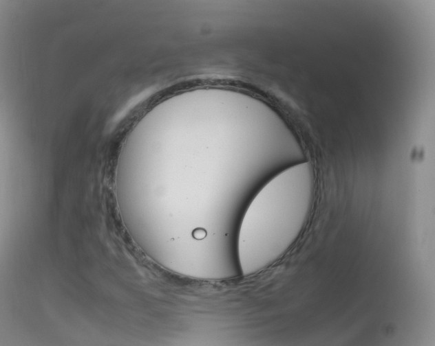 X0000114681255200910211024