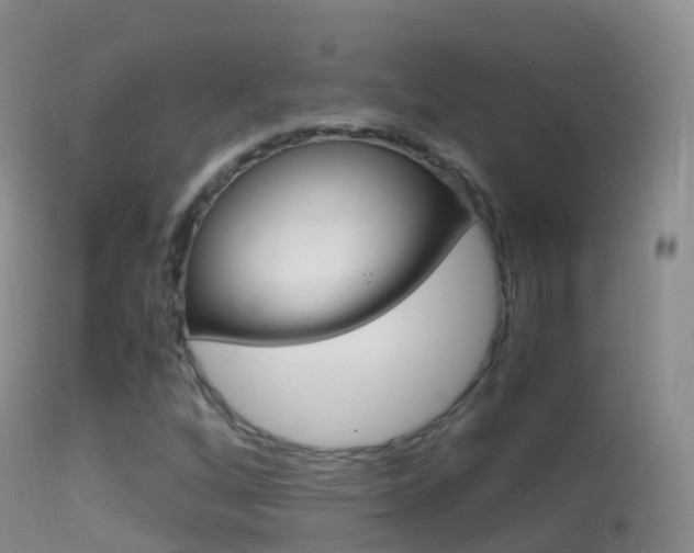 X0000114681256200910211024