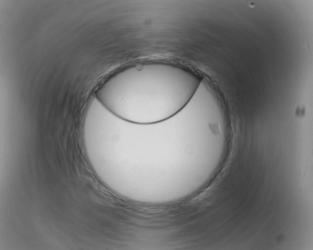 X0000114681257200910211024