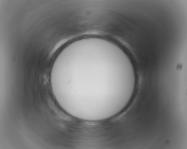 X0000114681258200910211024