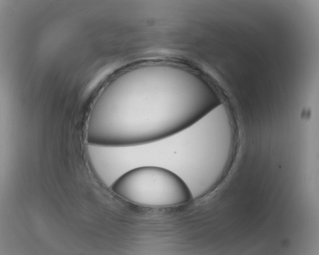 X0000114681259200910211024