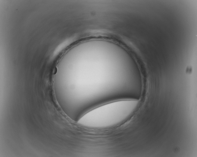 X0000114681261200910211024