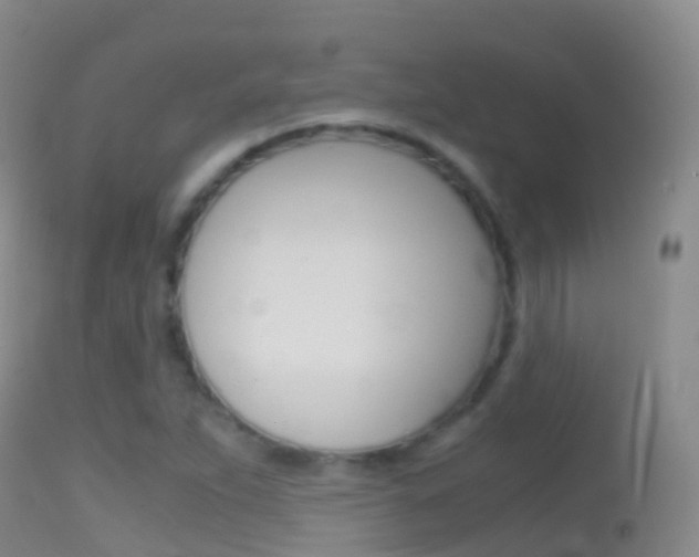 X0000114681263200910211024