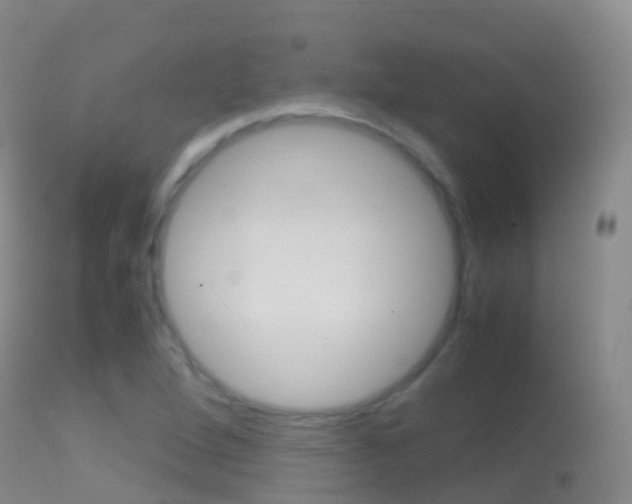 X0000114681264200910211024