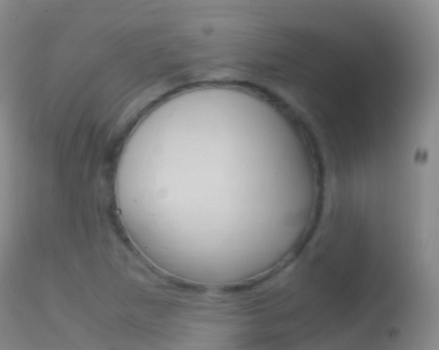 X0000114681265200910211024