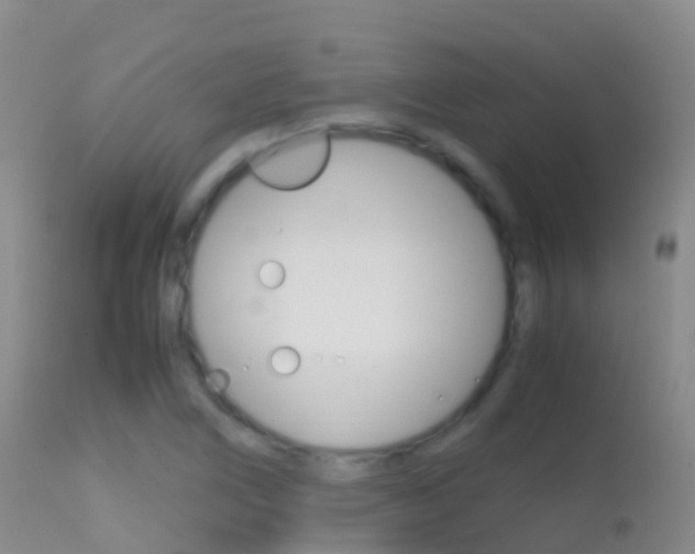 X0000114681266200910211024