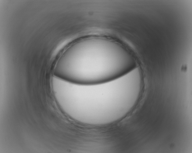 X0000114681267200910211024