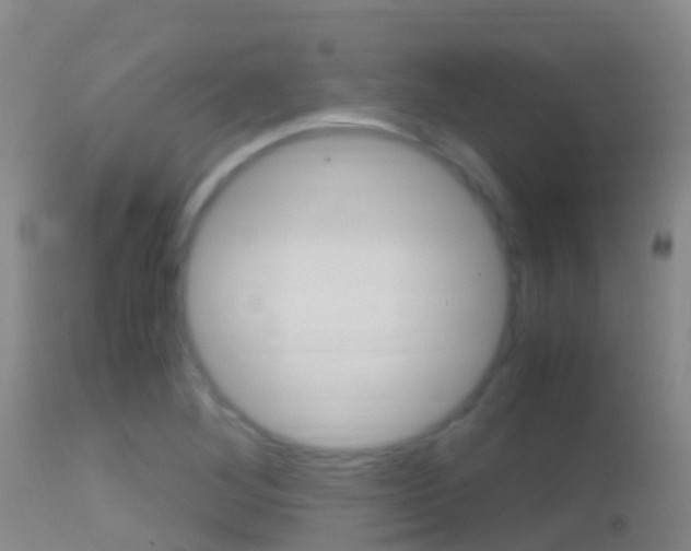 X0000114681268200910211024