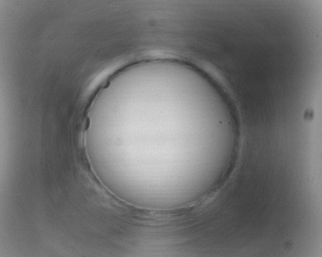 X0000114681269200910211024