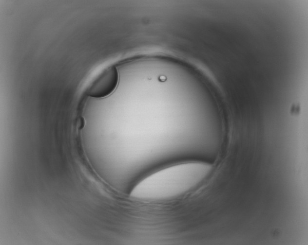 X0000114681270200910211024