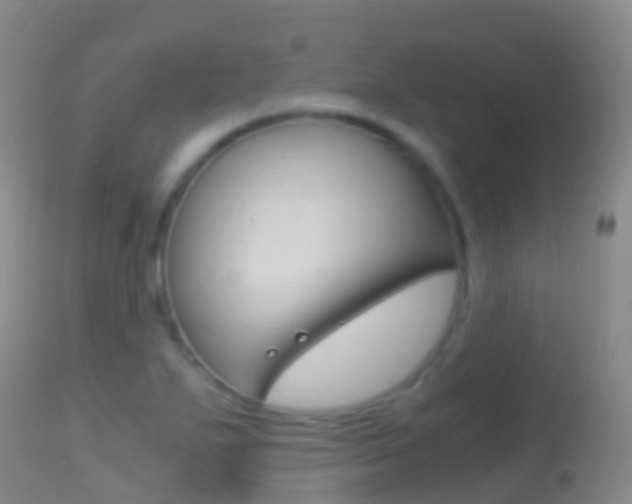 X0000114681271200910211024