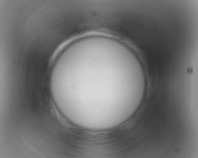 X0000114681272200910211024