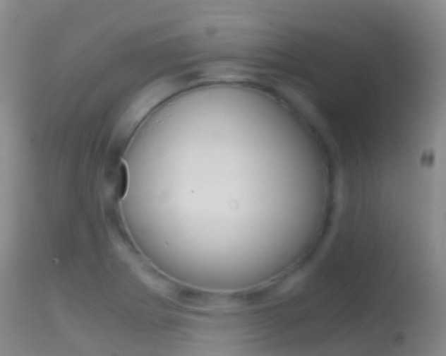 X0000114681273200910211024