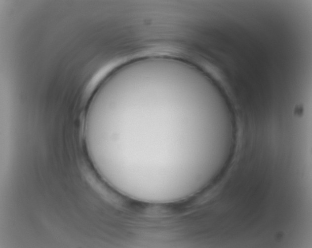 X0000114681275200910211024