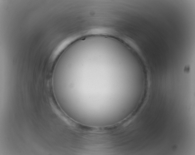 X0000114681277200910211024