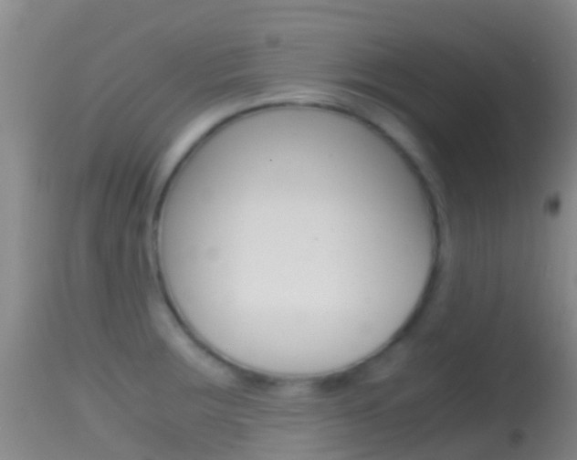 X0000114681283200910211023