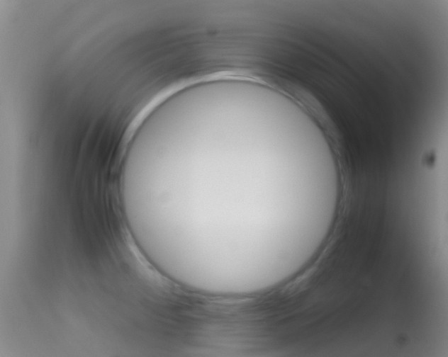 X0000114681284200910211023