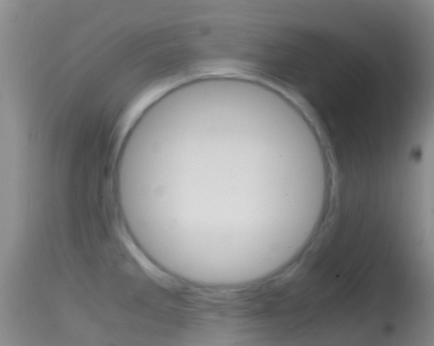 X0000114681285200910211023