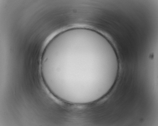 X0000114681286200910211023