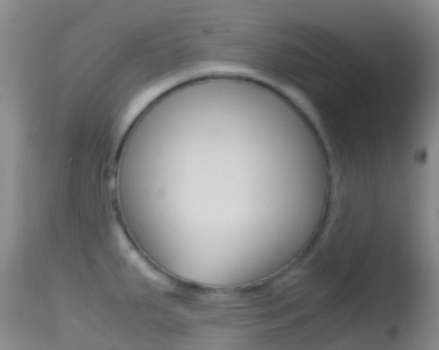 X0000114681287200910211023