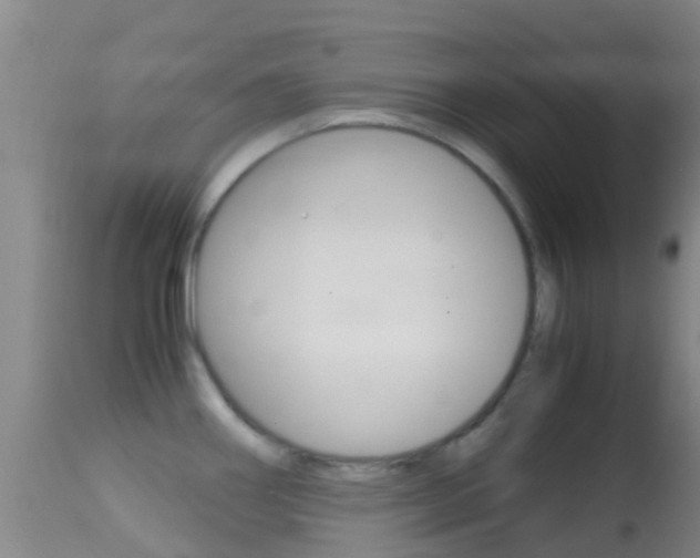 X0000114681290200910211023