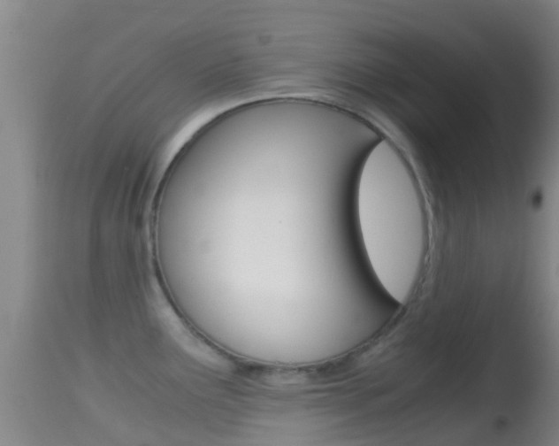 X0000114681291200910211023