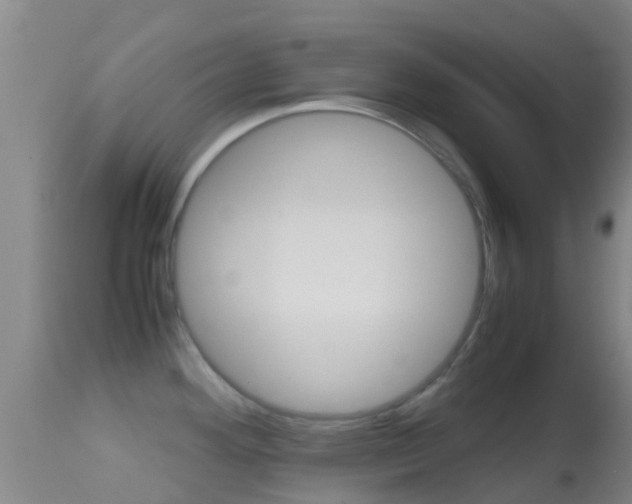 X0000114681292200910211023