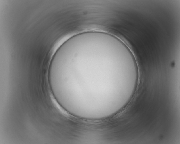 X0000114681293200910211023