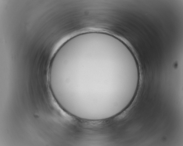 X0000114681294200910211023