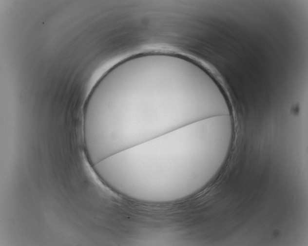 X0000114681295200910211023