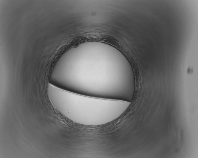 X0000114681297200910211023