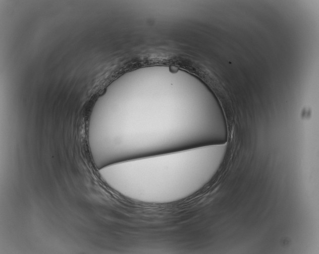 X0000114681299200910211023