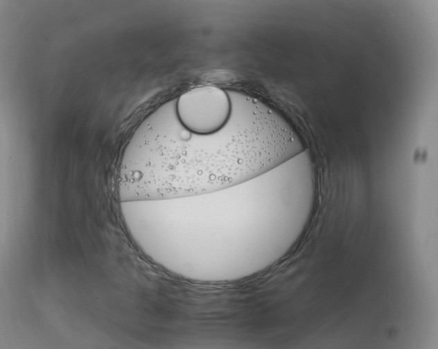 X0000114681301200910211023