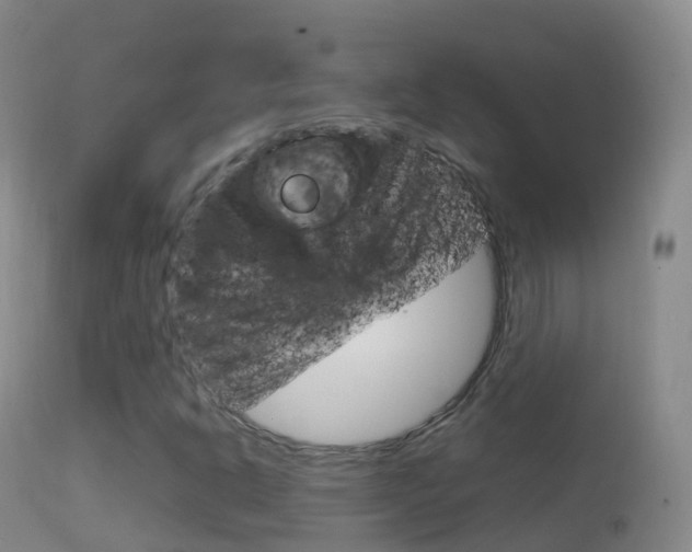 X0000114681302200910211023