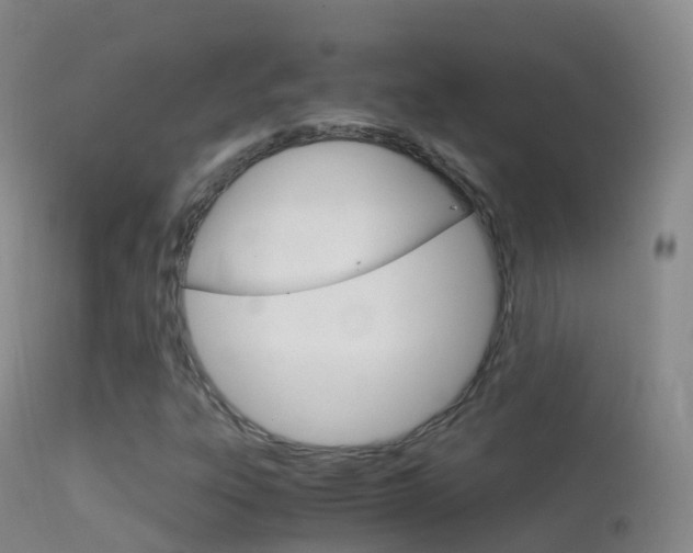 X0000114681303200910211023