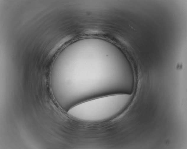 X0000114681305200910211023