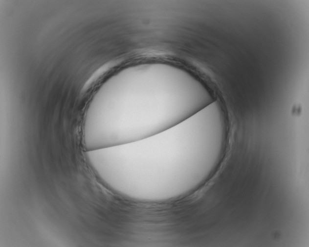 X0000114681306200910211023