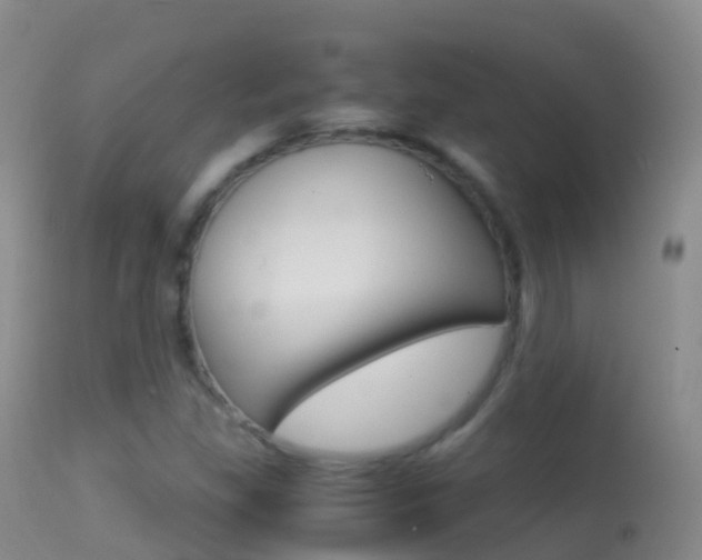 X0000114681309200910211023