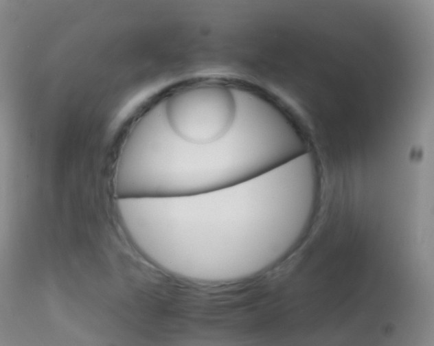 X0000114681311200910211023