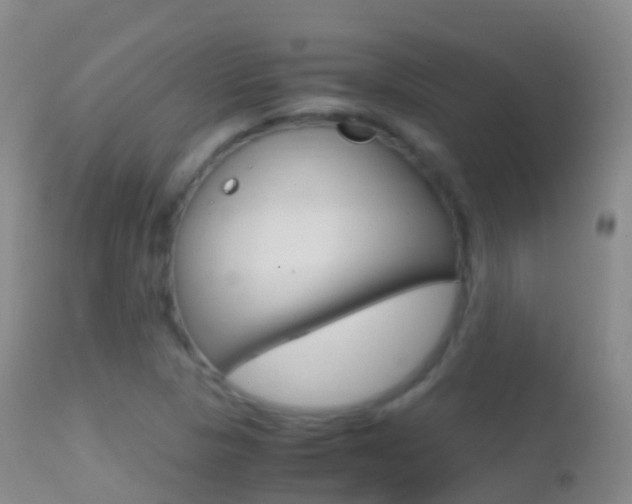 X0000114681313200910211023